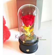Everlasting Red Rose Glass Dome with Bluetooth Speaker & LED Lights