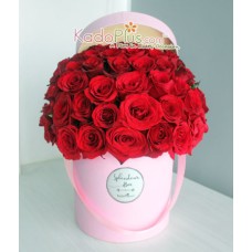 Splendeur Box: Deep Love