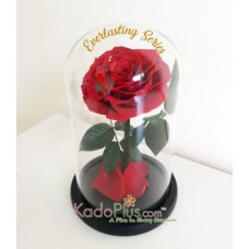Everlasting Red Rose Premium