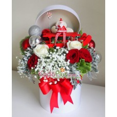 Bunga Natal: Santa Sleigh