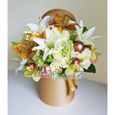 Bunga Natal: Golden Chestnut