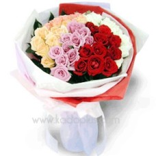 Colors of Love