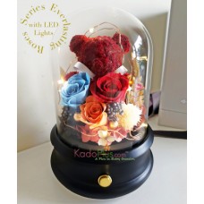 Bear and Eternity Preserved Roses with LED & Speaker