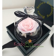 Eternity Light Pink Rose