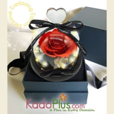 Eternity Red Preserved Rose with LED