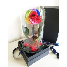 Everlasting Rainbow Rose Premium