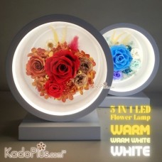 Table Lamp and Preserved Flowers