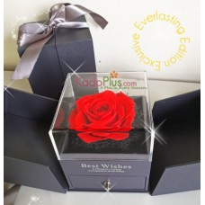 Everlasting Red Rose Box