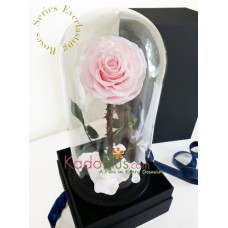 Everlasting Pink Rose Premium