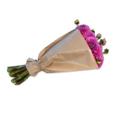 Bundle of deep pink Dahlias