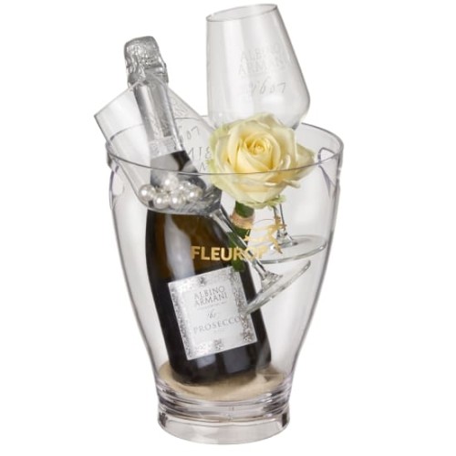 Charming Beauty with Prosecco Albino Armani DOC (75 cl) incl. ice bucket and two 
