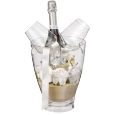 For the One Moment with Prosecco Albino Armani DOC (75 cl) incl. ice bucket and two 