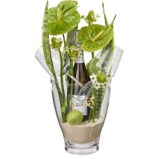 Exotic Paradise with Prosecco Albino Armani DOC (75 cl) incl. ice bucket and two 