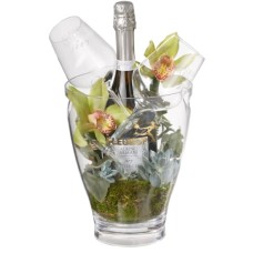 In Harmony with Nature with Prosecco Albino Armani DOC (75 cl) incl. ice bucket and two 