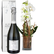Magic (orchid with vase) and Prosecco Albino Armani DOC (75 cl)
