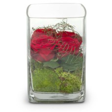 Roses 4 YOU