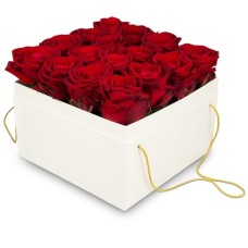 Flowerbox «Venice» (20 cm)