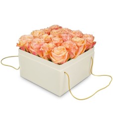 Flowerbox «Vienna» (20 cm)