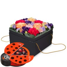 Flowerbox Amsterdam (20 cm) with Munz chocolate ladybird