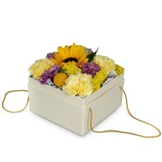 Flowerbox «Arles» (15 cm)