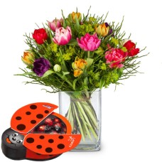 Colorful Bouquet of Tulips with Munz chocolate ladybird (Minimum)