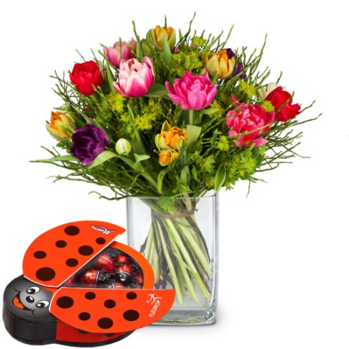 Colorful Bouquet of Tulips with Munz chocolate ladybird (Minimum)