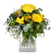 Little Sunshine (Minimum)