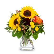 Top of Summer (Minimum)