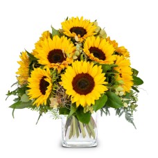 Sunflowers Pure (Minimum)