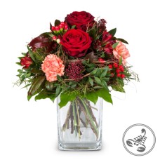 Bouquet Scorpio (Minimum)