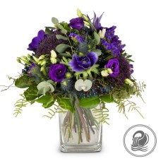 Bouquet Aquarius (Minimum)