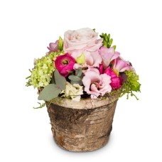 Sweet spring melody (Minimum)