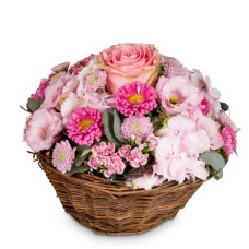 A Flower Greeting in Delicate Colors (Minimum)