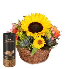 Sunny Kiss and Gottlieber cocoa almonds (Minimum)