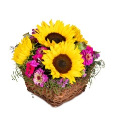 Sunny Day (Minimum)