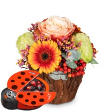 Happy Surprise with Munz chocolate ladybird (Minimum)
