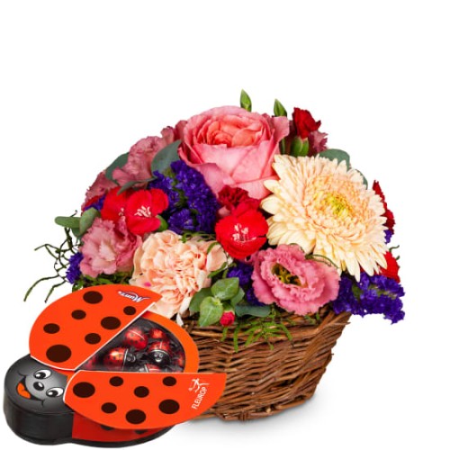 Melody of Color with Munz chocolate ladybird (Minimum)