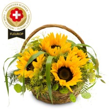 Sunflower arrangement with Swiss flowers