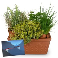 Herb Box with a CHF 50.- gift voucher from the Rhaetian Railway