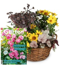 Indian Summer-Garden with magazine «Schweizer Garten»