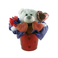 Valentine Bear Cookie Gift Set