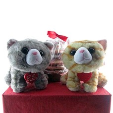 Valentin'e Kitty with Cookies Gift (1 Dozen)