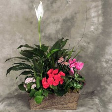 French Garden Planter (Large)
