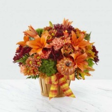Autumn Celebration (Premium)