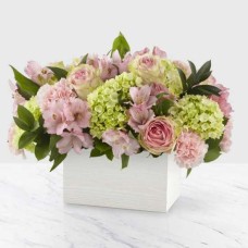 Sweet Charm Bouquet (Large)