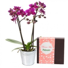 Orchid And Chocolates Happy Birthday (55 NUMBER OF CHOCOLATES)