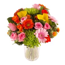 Flowers And Colors