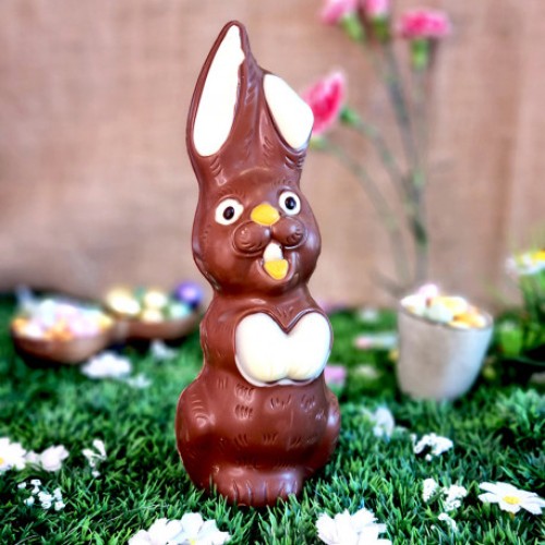 My little bunny