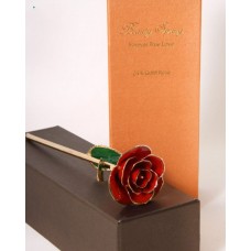 Golden Rose