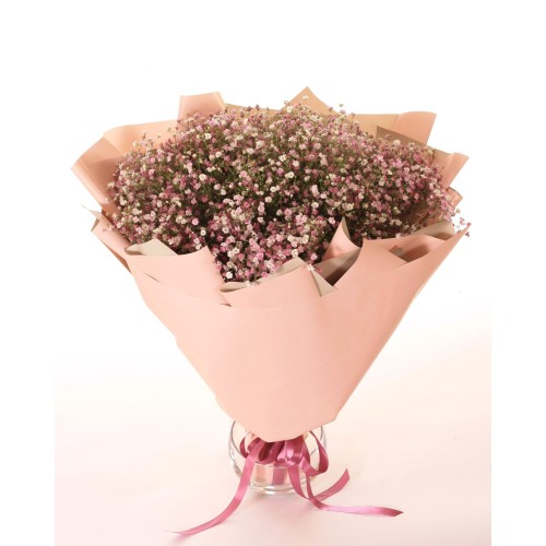 Bouquet of gypsophila (Small)